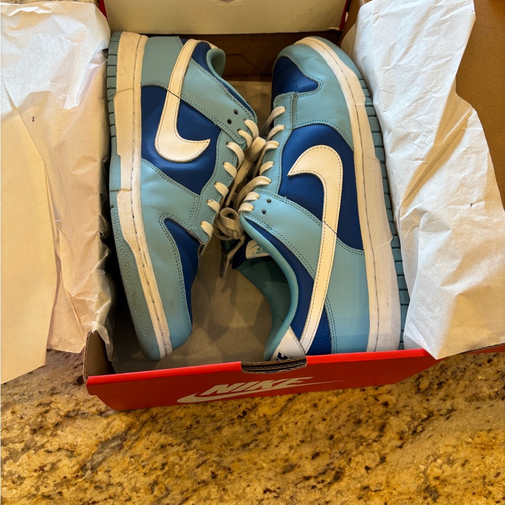 Nike Dunks Argon Blue Men’s 11.5 View 5